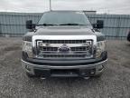 2014 Ford F150 Supercrew იყიდება Ottawa-ში, ON - Mechanical