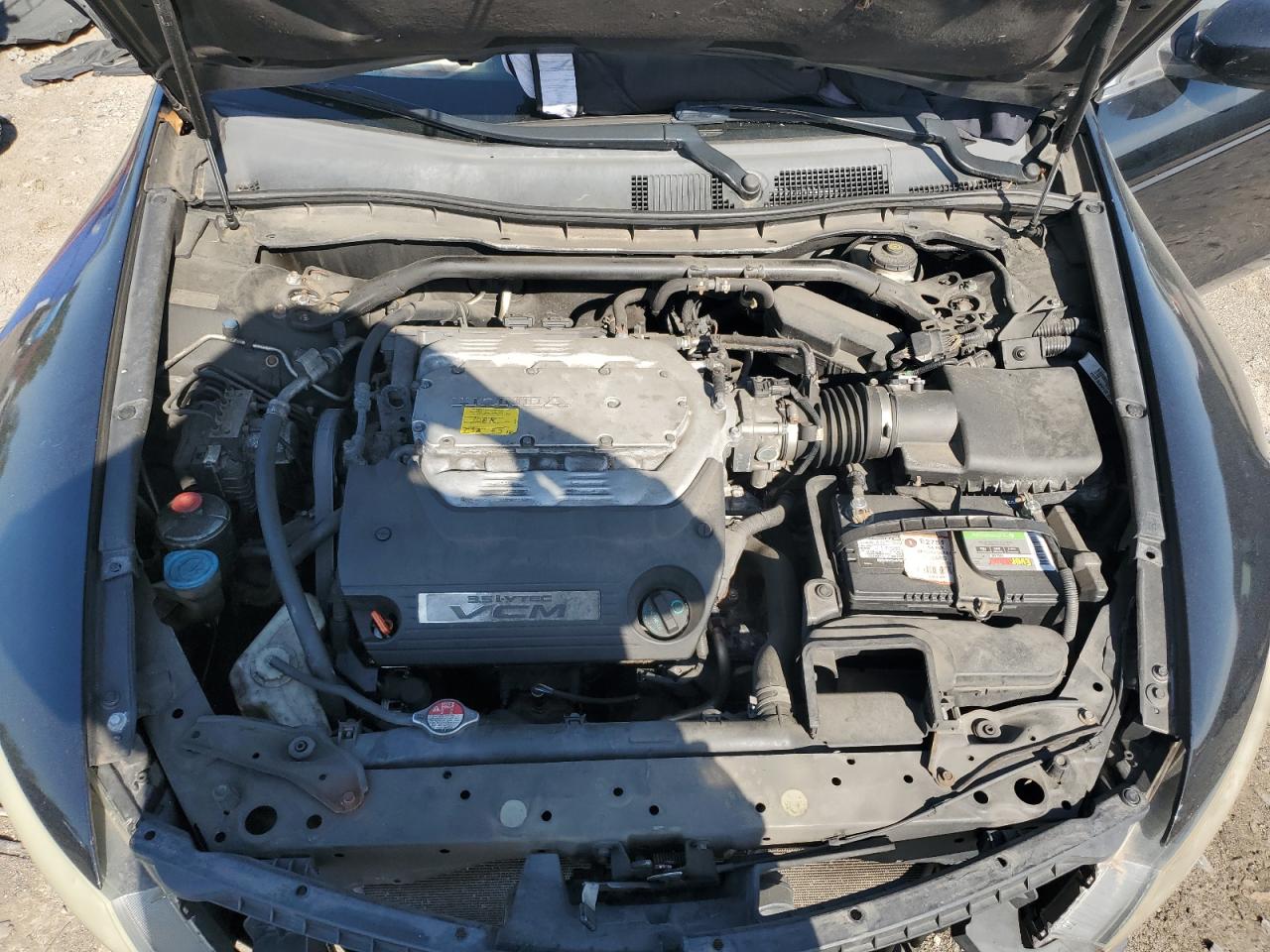 2009 Honda Accord Exl VIN: 1HGCS22809A008808 Lot: 80263785