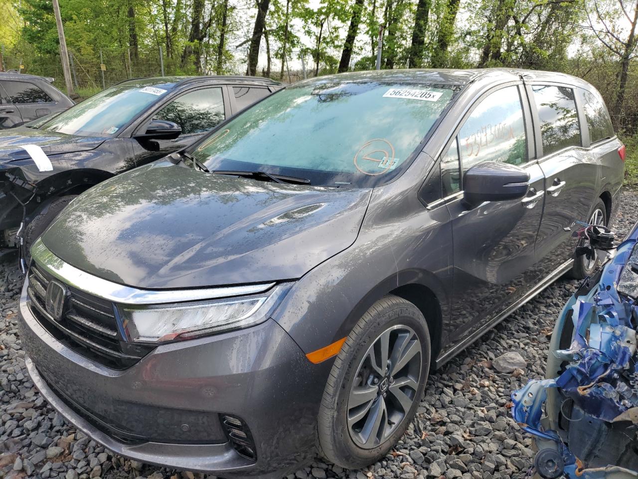 2023 Honda Odyssey Touring for Sale in Marlboro, NY - Water/Flood