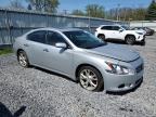 2013 Nissan Maxima S for Sale in Albany, NY - Vandalism