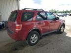 2012 Ford Escape Xlt en Venta en Fort Wayne, IN - Top/Roof