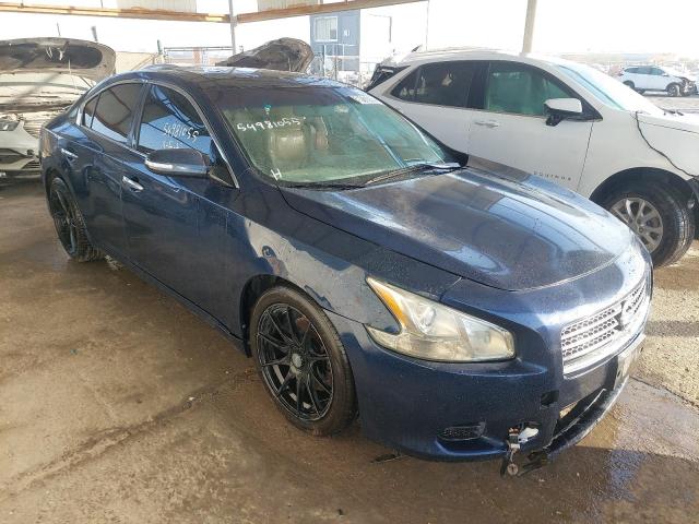 1N4AA5AP1BC822274 - 2011 Nissan MAXIMA - #undefined