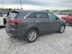 2019 Kia Sorento Lx na sprzedaż w Lawrenceburg, KY - Hail