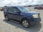 2013 Honda Pilot Exl   for Sale in Earlington, KY - Front End