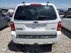 2008 Ford Escape Xlt for Sale in Magna, UT - Side