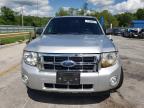 2010 Ford Escape Xlt for Sale in Rogersville, MO - Front End