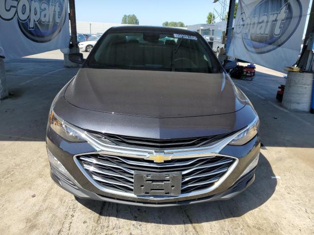  CHEVROLET MALIBU 2023 Gray