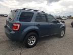 2011 Ford Escape Xlt   for Sale in Earlington, KY - Top/Roof