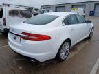 2012 JAGUAR XF PORTFOLIO D AUTO  for sale at Copart NEWBURY