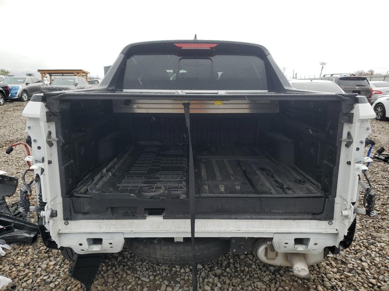 2023 Hyundai Santa Cruz Sel Premium VIN: 5NTJDDAF7PH059404 Lot: 55059665