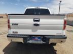 Albuquerque, NM에서 판매 중인 2014 Ford F150 Supercrew   - Front End