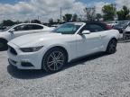 2016 Ford Mustang  for Sale in Riverview, FL - Rear End