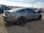 2011 Ford Mustang Shelby Gt500 للبيع في Albuquerque، NM - Front End