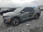 2024 Hyundai Santa Cruz Limited na sprzedaż w Arcadia, FL - Side