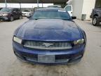 Anthony, TX에서 판매 중인 2012 Ford Mustang  - Hail