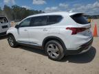 2022 Hyundai Santa Fe Sel zu verkaufen in Greenwell Springs, LA - Front End