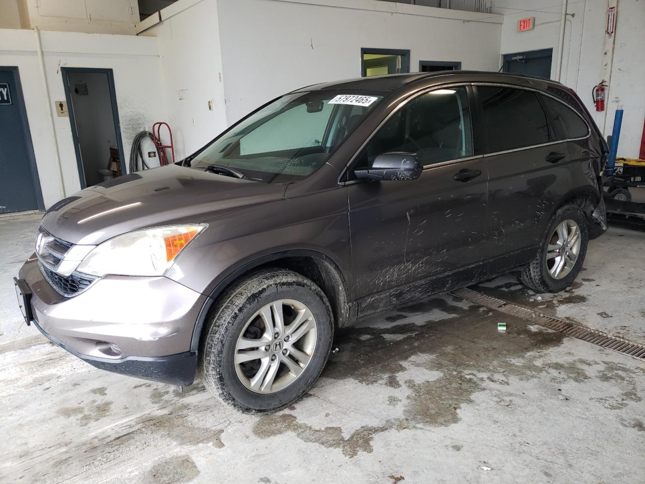 2010 Honda Cr-V Ex en Venta en Northfield, OH - Rear End