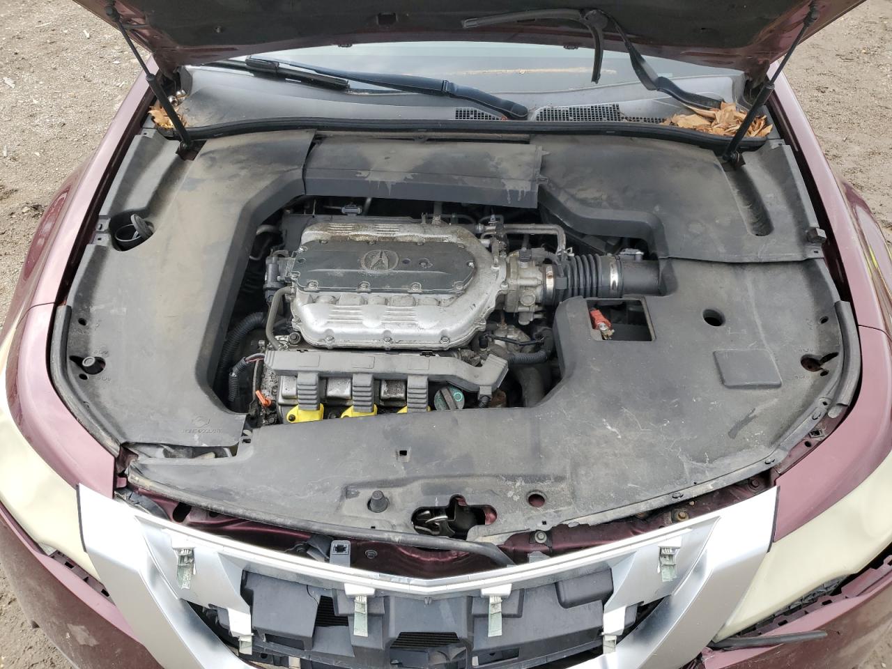 2009 Acura Tl VIN: 19UUA86559A001685 Lot: 53864005