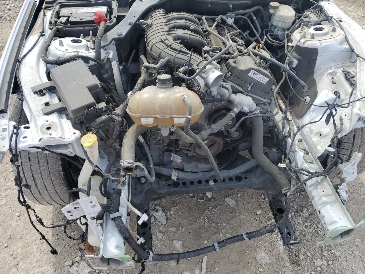 2016 Ford Mustang VIN: 1FA6P8AM9G5279182 Lot: 55495455