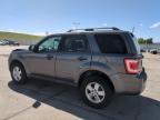 2010 Ford Escape Xlt იყიდება Littleton-ში, CO - Front End