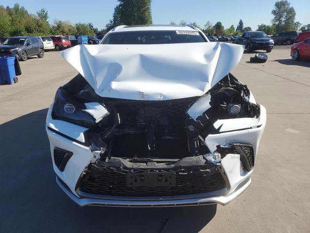  LEXUS NX 2019 Biały