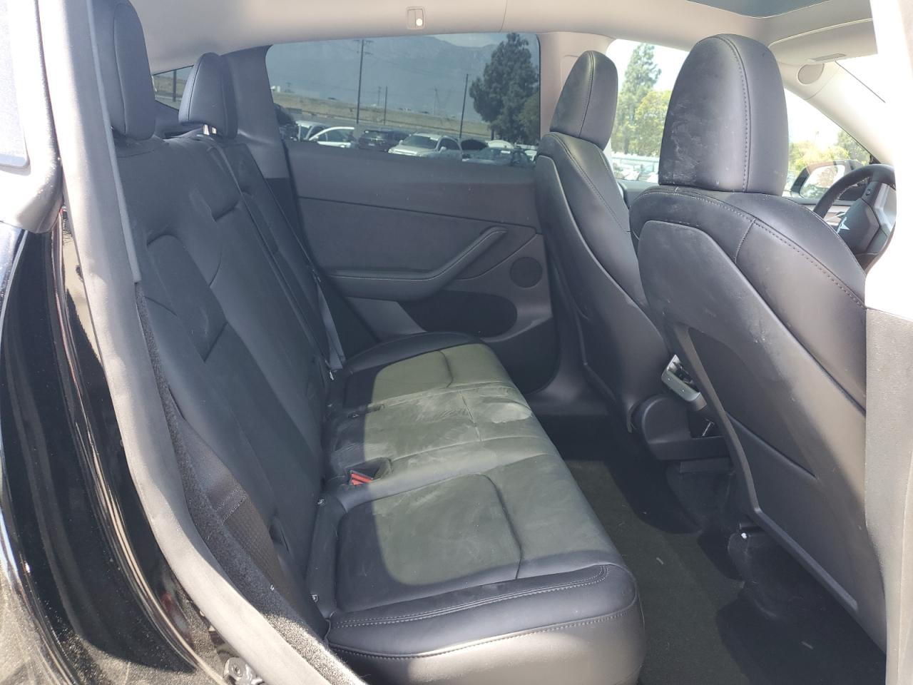 2024 Tesla Model Y VIN: 7SAYGDEE0RF123793 Lot: 57177305