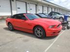 2014 Ford Mustang  للبيع في Louisville، KY - All Over