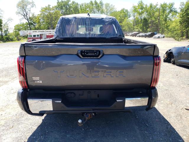  TOYOTA TUNDRA 2022 Gray