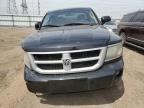 2010 Dodge Dakota Sxt for Sale in Elgin, IL - Front End