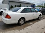 2001 Toyota Avalon Xl na sprzedaż w Louisville, KY - Hail