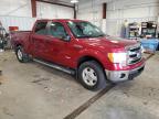 Mcfarland, WI에서 판매 중인 2013 Ford F150 Supercrew   - Hail