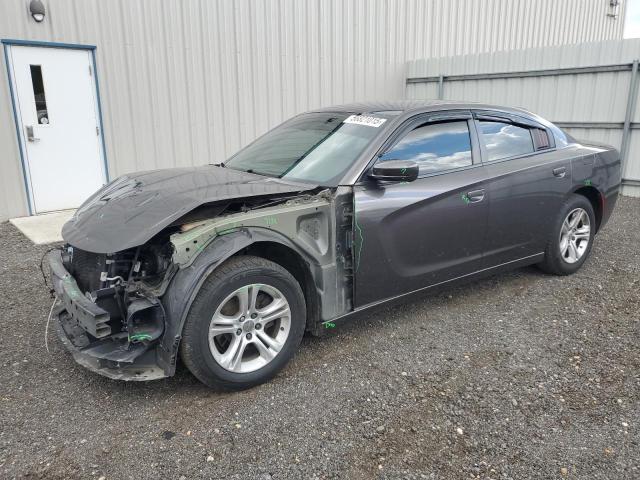  DODGE CHARGER 2020 Szary