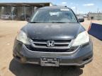 Brighton, CO에서 판매 중인 2010 Honda Cr-V Exl   - Rear End