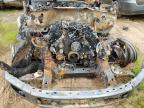 2017 Ford F150 Supercrew   de vânzare în Shreveport, LA - Burn