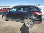 2013 FORD ESCAPE SEL à vendre chez Copart AB - EDMONTON
