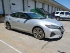 2023 Nissan Maxima Sv en Venta en Louisville, KY - Water/Flood
