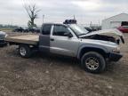 2003 Dodge Dakota Sxt იყიდება Cicero-ში, IN - Front End