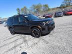 2024 Hyundai Santa Fe Sel for Sale in Hillsborough, NJ - Rear End