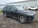 2025 TOYOTA RAV4 XLE for sale at Copart ON - TORONTO