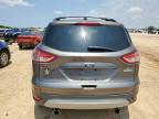 San Antonio, TX에서 판매 중인 2013 Ford Escape Se   - Front End
