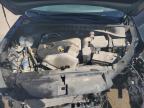 2019 HYUNDAI TUCSON LIMITED   à vendre chez Copart NB - MONCTON