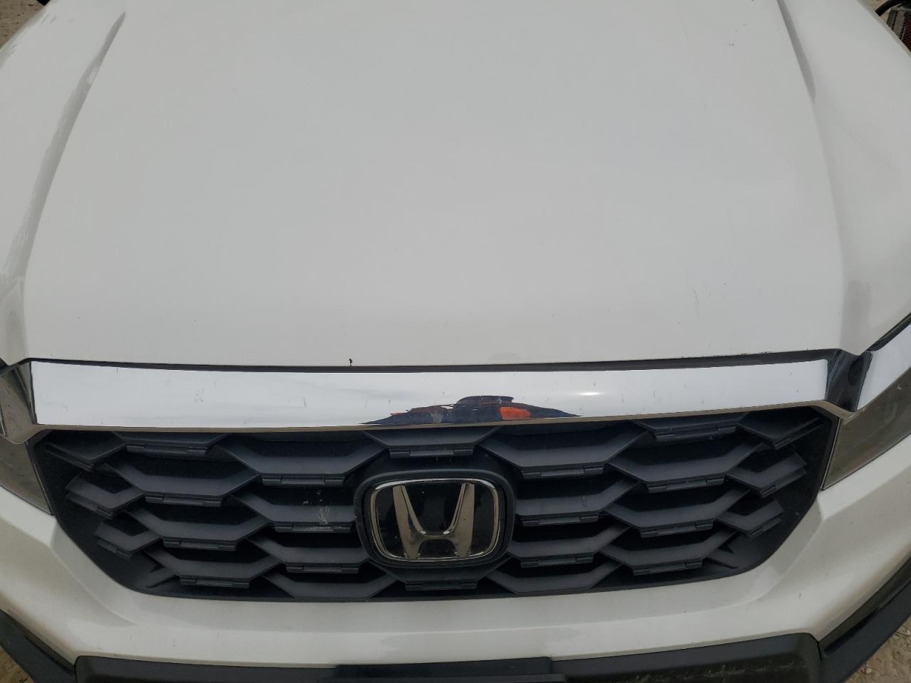 2023 Honda Passport Exl VIN: 5FNYF8H51PB033343 Lot: 56594665
