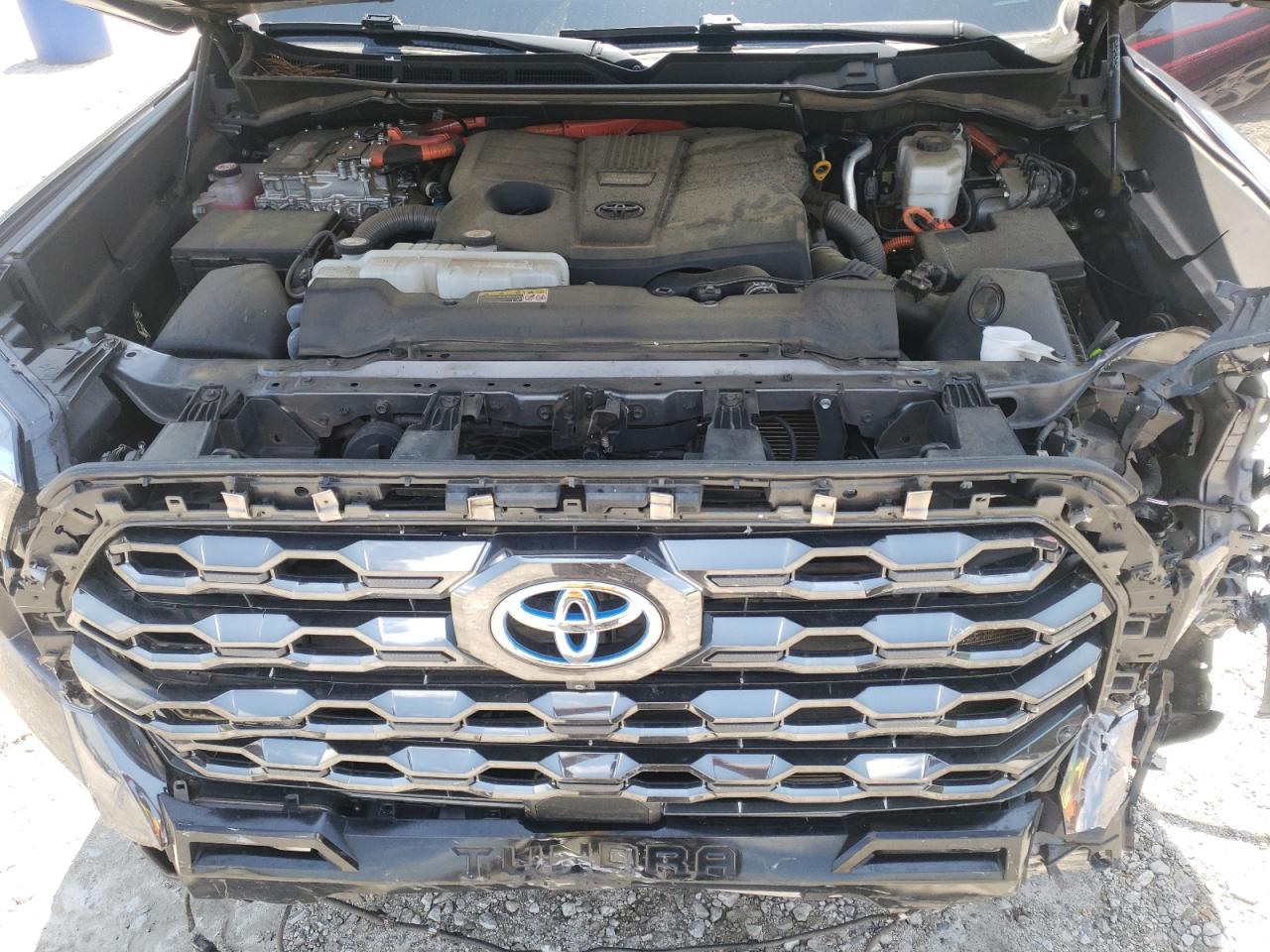 2022 Toyota Tundra Crewmax Platinum VIN: 5TFNC5DB2NX005270 Lot: 56390395