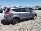 Appleton, WI에서 판매 중인 2014 Ford Escape Se - Side