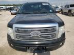 Houston, TX에서 판매 중인 2010 Ford F150 Supercrew - Hail