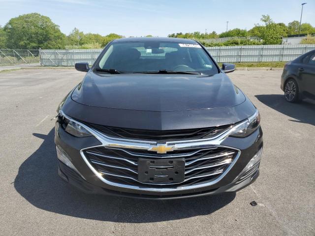  CHEVROLET MALIBU 2023 Gray