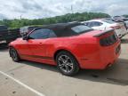2014 Ford Mustang  للبيع في Louisville، KY - All Over