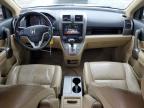 2008 Honda Cr-V Exl продається в Littleton, CO - Front End