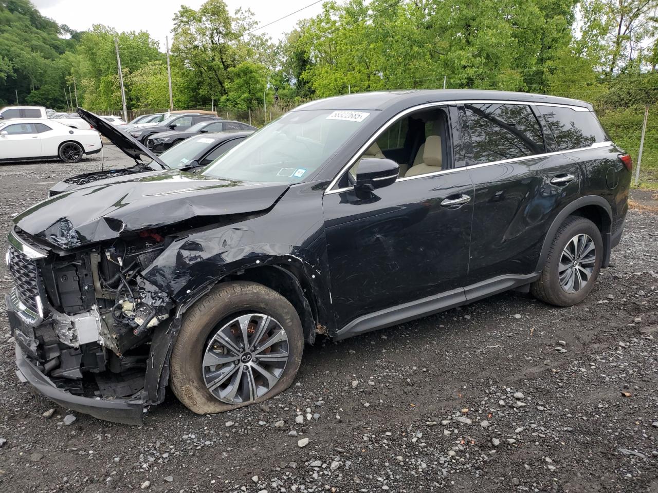 2024 Infiniti Qx60 Pure for Sale in Marlboro, NY - Front End