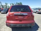 2008 Honda Cr-V Exl იყიდება Arlington-ში, WA - Front End